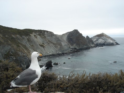 USA - Agosto 2010 542