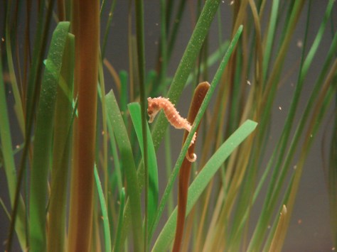 USA - Agosto 2010 648