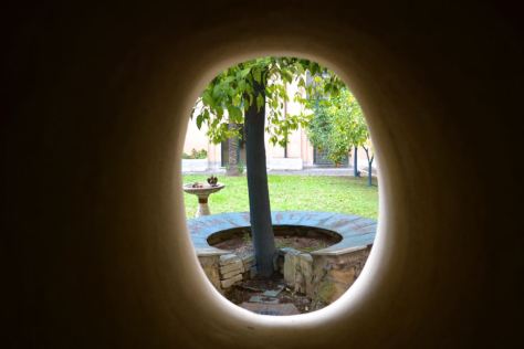 Arancio santa Sabina