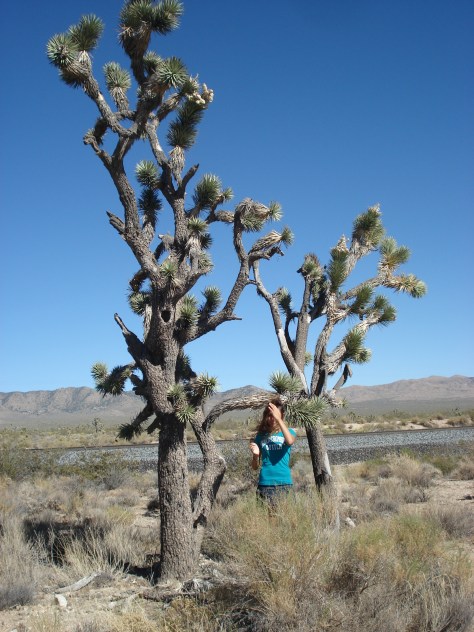 USA - Agosto 2010 149