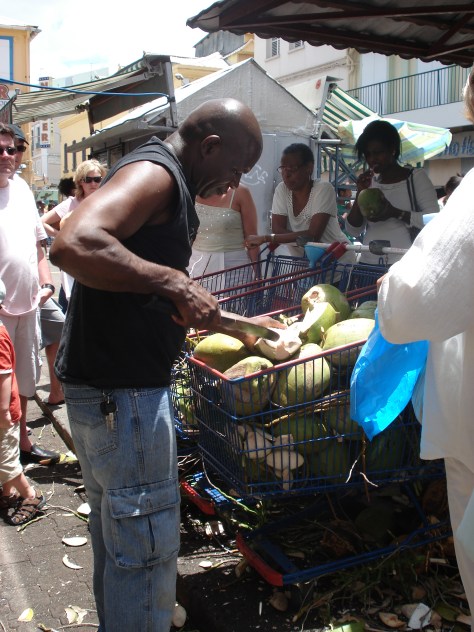 CARAIBI Aprile 2008 274