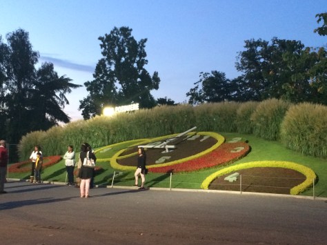 Orologio fiorito _ Ginevra